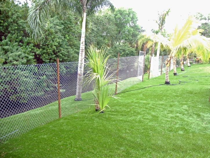 Grass Carpet Manteca, California Gardeners, Backyards