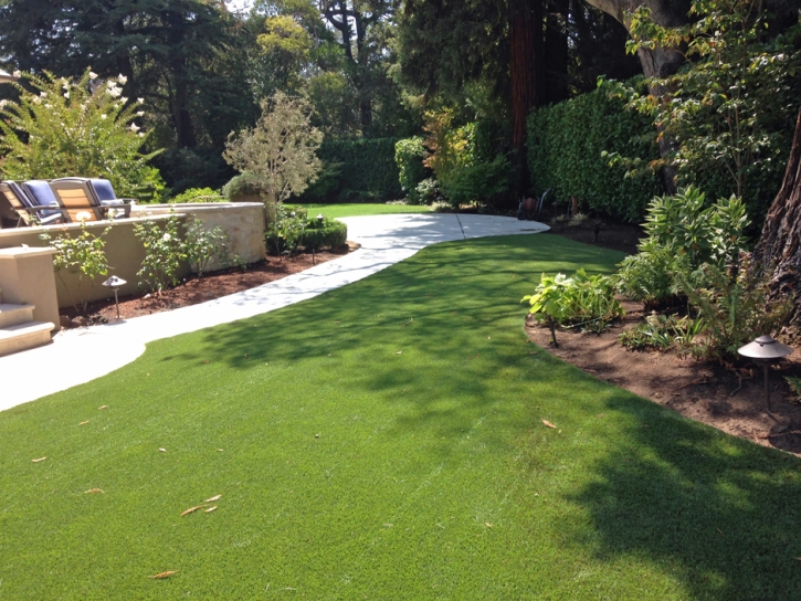 Grass Carpet Mountain House, California Design Ideas, Backyard Design