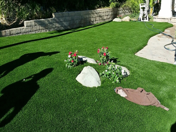 Grass Carpet Port Costa, California Landscape Rock, Front Yard Landscaping Ideas