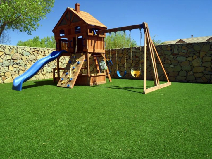 Grass Carpet Rosemont, California Landscape Design, Backyards