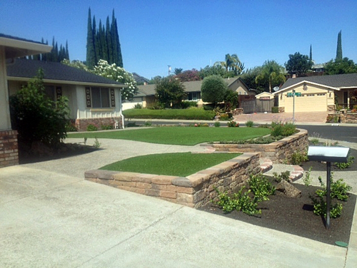 Grass Carpet Scotts Valley, California Landscaping Business, Front Yard Ideas