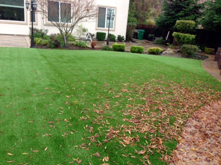 Grass Installation Clarksburg, California Lawns, Backyard Garden Ideas