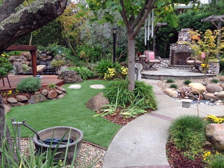 Grass Installation Westley, California Landscaping Business, Backyard Garden Ideas