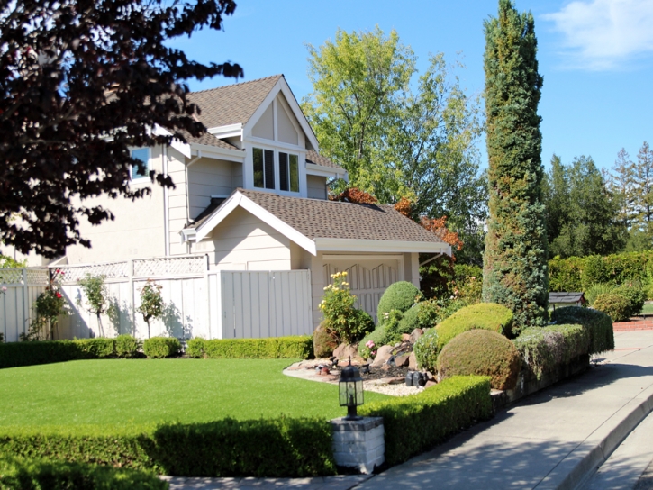 Grass Turf Dublin, California Roof Top, Front Yard Landscaping Ideas