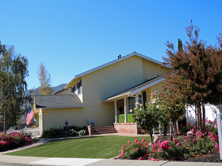 Grass Turf Escalon, California Gardeners, Small Front Yard Landscaping