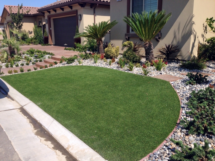 Grass Turf Tomales, California Landscape Rock, Front Yard