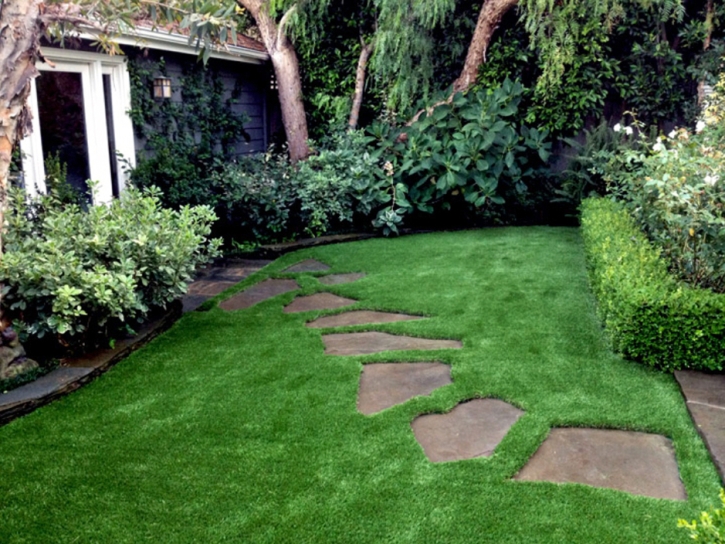 Grass Turf Watsonville, California Roof Top, Backyard Landscape Ideas