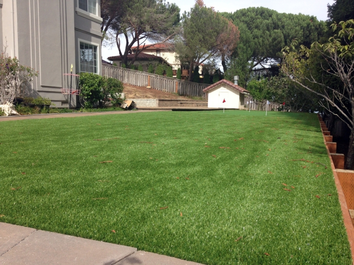 Green Lawn Bay Point, California Backyard Putting Green, Backyard