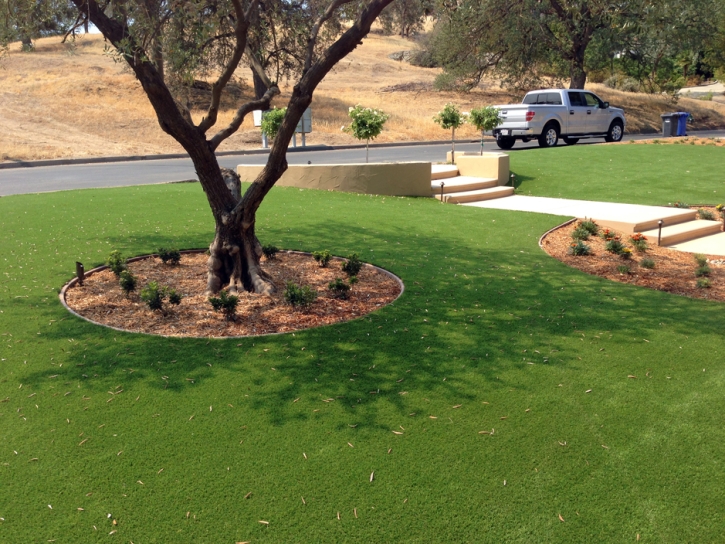 Green Lawn Colma, California Garden Ideas, Front Yard Landscaping