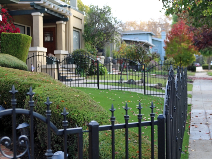 Green Lawn Dogtown, California Garden Ideas, Front Yard Landscaping Ideas