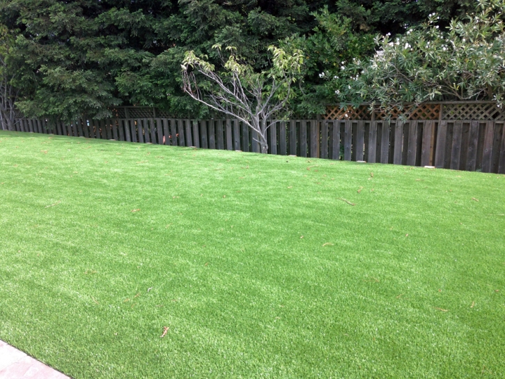 Green Lawn San Jose, California Gardeners, Backyard Ideas