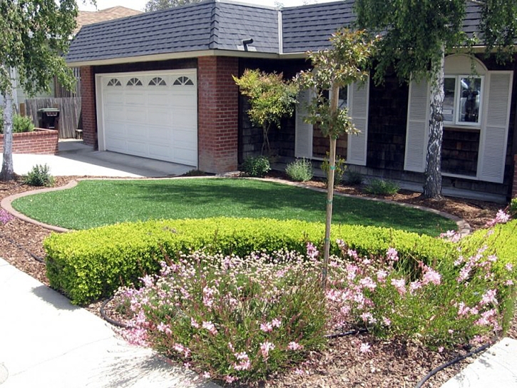 Green Lawn San Ramon, California Landscape Photos, Landscaping Ideas For Front Yard