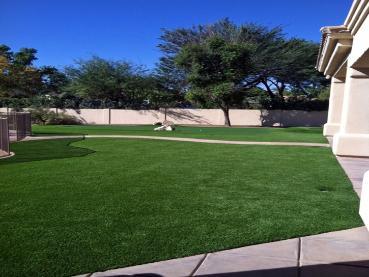 Green Lawn Suisun, California Landscaping, Front Yard Landscape Ideas