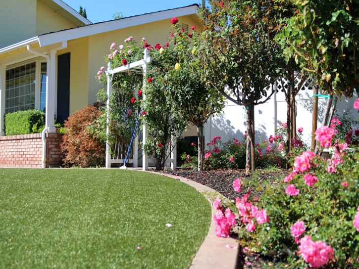 Green Lawn Union City, California Garden Ideas, Landscaping Ideas For Front Yard