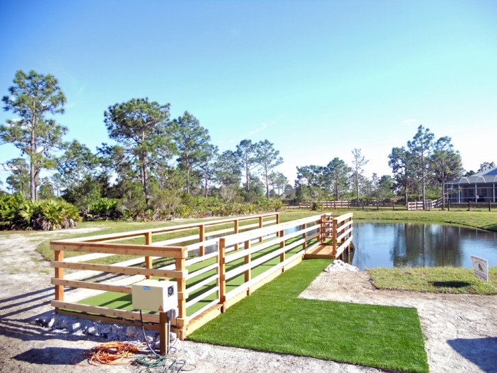 Green Lawn Woodland, California Backyard Deck Ideas, Backyard Ideas