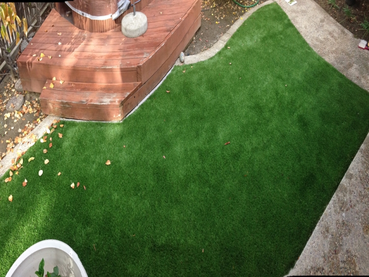 How To Install Artificial Grass Mill Valley, California Lawns, Backyard Landscape Ideas