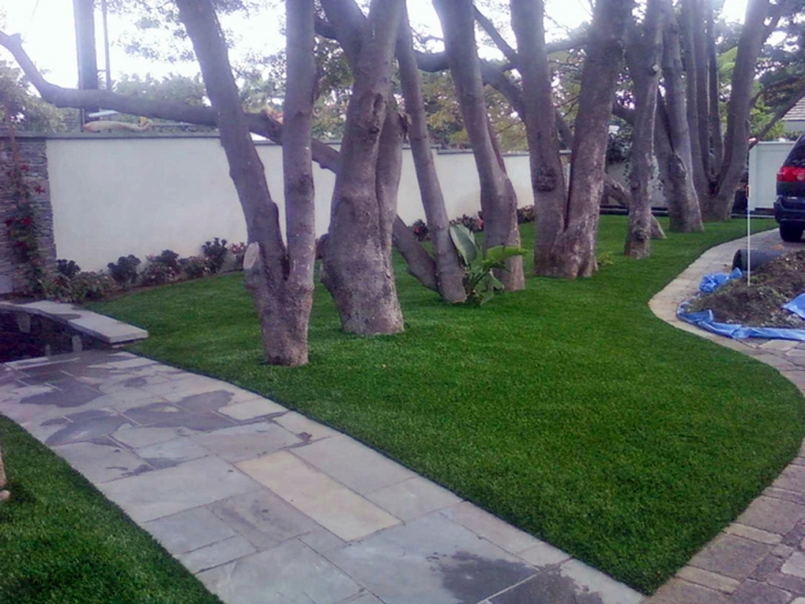 How To Install Artificial Grass San Carlos, California Lawn And Garden, Front Yard Landscaping Ideas