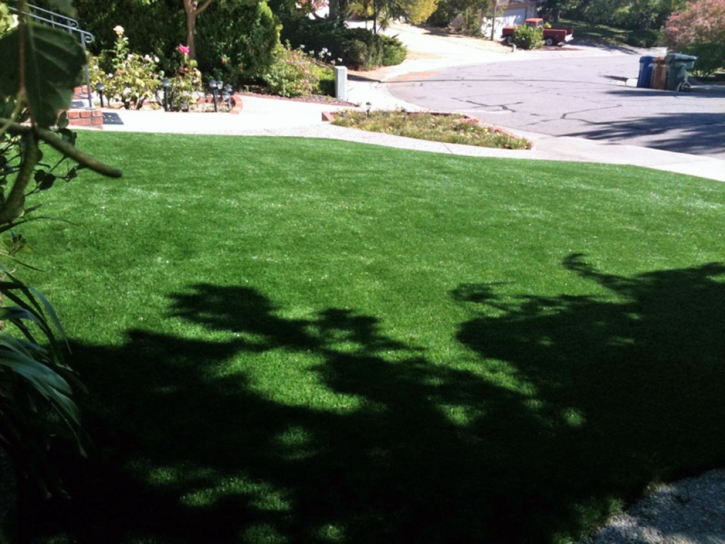 Installing Artificial Grass Ben Lomond, California Design Ideas, Front Yard Landscaping