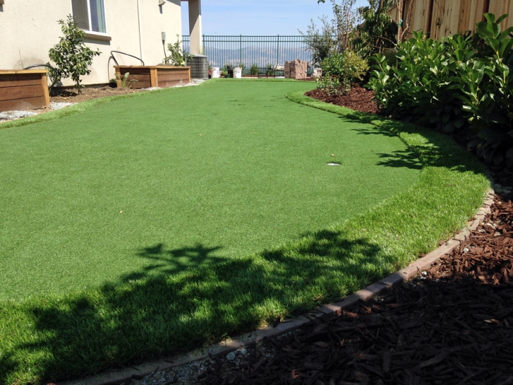 Lawn Services Eldridge, California Backyard Playground, Backyard Ideas