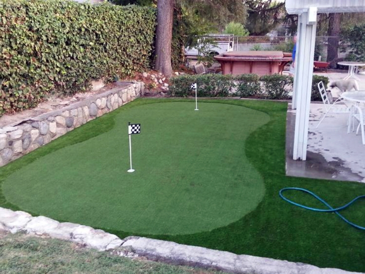 Lawn Services Fairfield, California City Landscape, Backyard Design