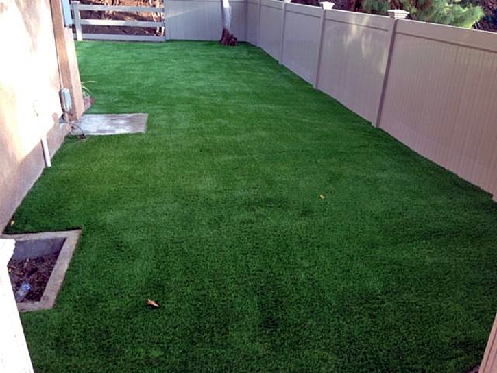 Lawn Services San Bruno, California Dog Run, Backyard Garden Ideas