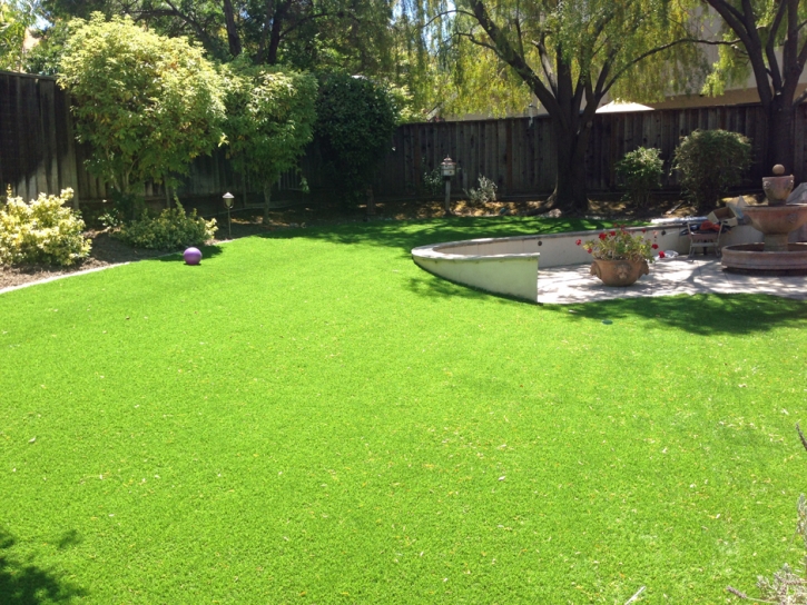 Lawn Services West Menlo Park, California Design Ideas, Backyard Ideas