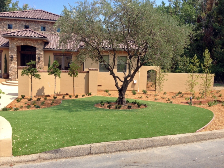 Outdoor Carpet Alum Rock, California Lawn And Landscape, Landscaping Ideas For Front Yard