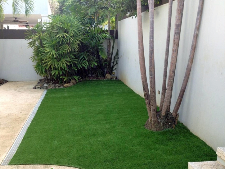 Outdoor Carpet Blackhawk, California Home And Garden, Backyard