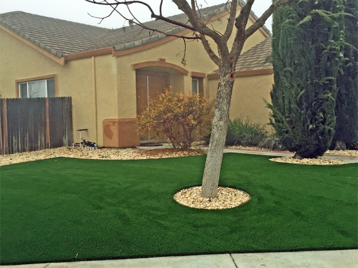 Outdoor Carpet Burbank, California Lawn And Landscape, Front Yard Landscape Ideas