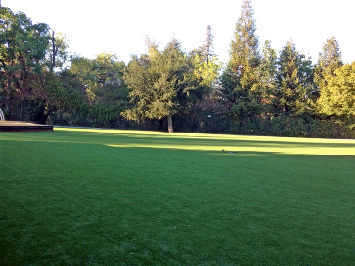 Outdoor Carpet Cambrian Park, California Garden Ideas, Parks