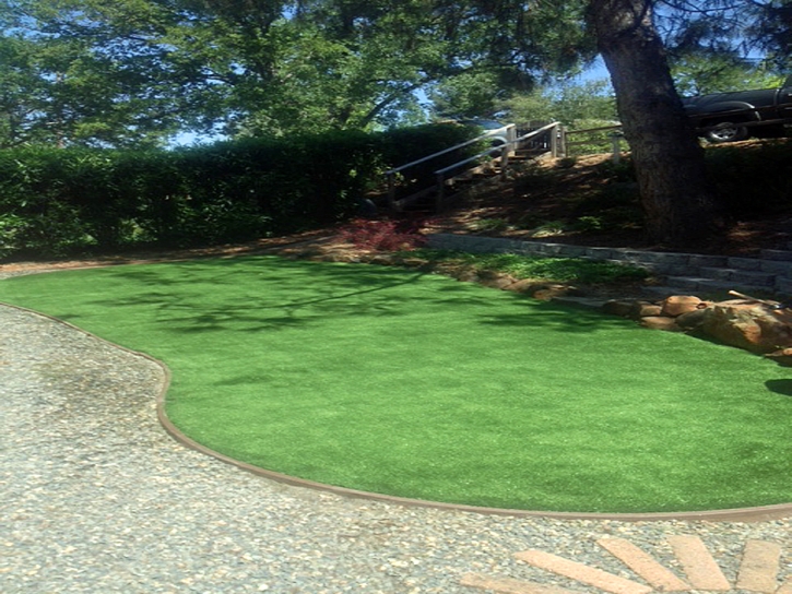 Outdoor Carpet Cazadero, California City Landscape, Backyard Makeover