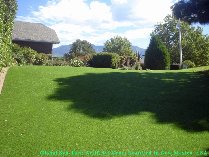 Outdoor Carpet Colma, California Cat Playground, Backyard Design