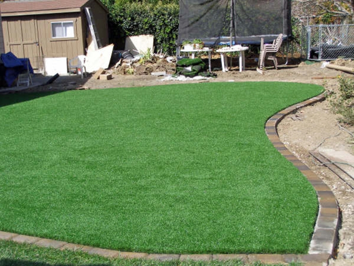 Outdoor Carpet Rollingwood, California Rooftop, Backyard Landscaping