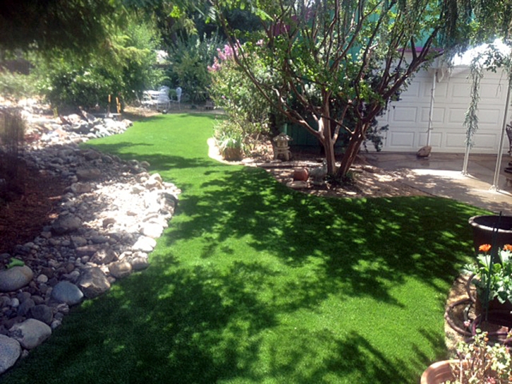 Outdoor Carpet Santa Cruz, California Backyard Playground, Backyard Landscape Ideas