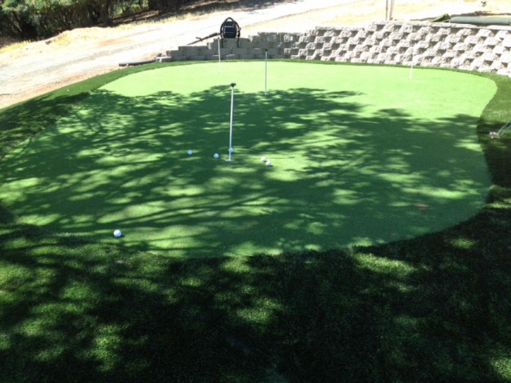 Outdoor Carpet Santa Venetia, California Gardeners, Backyard