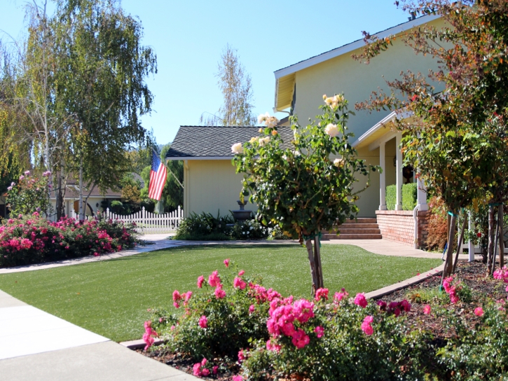 Plastic Grass American Canyon, California Landscaping Business, Front Yard Landscape Ideas