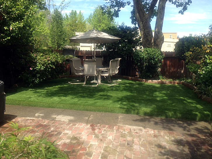 Plastic Grass August, California Gardeners, Backyard Design