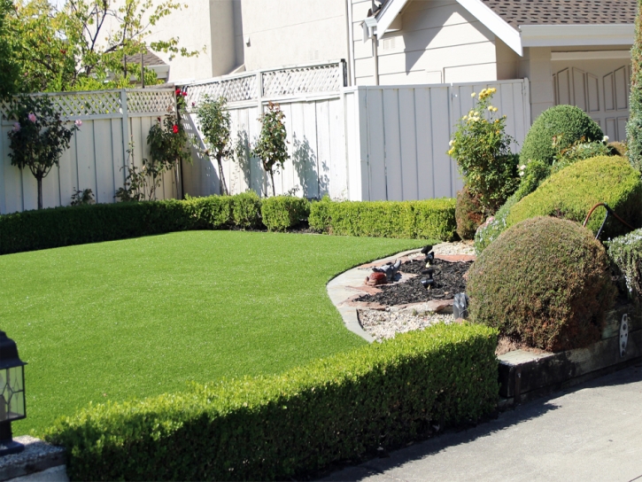 Plastic Grass Cobb, California Landscape Ideas, Front Yard Design