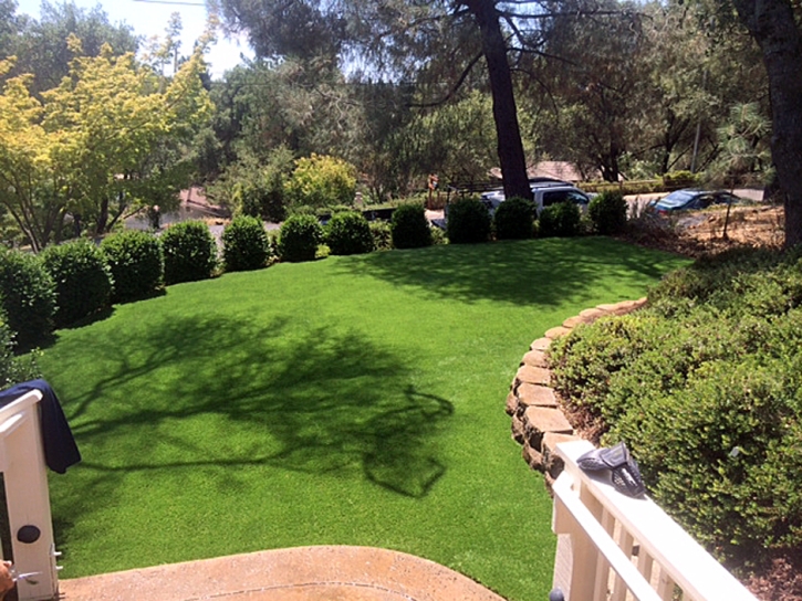 Plastic Grass Country Club, California Landscape Rock, Backyard