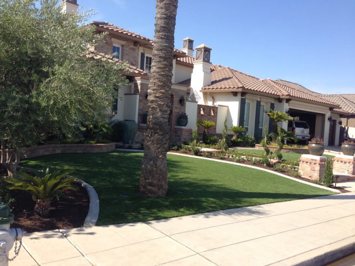 Plastic Grass Felton, California Landscaping, Small Front Yard Landscaping