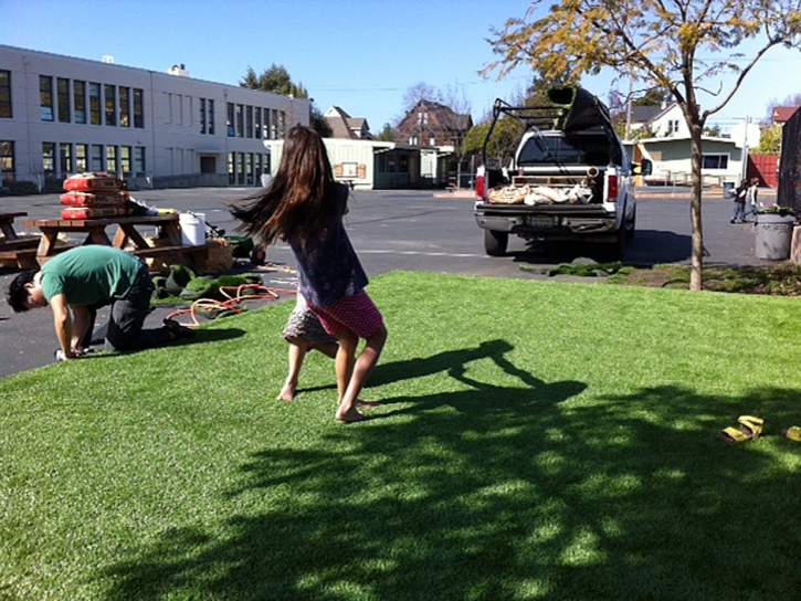 Plastic Grass French Camp, California Landscape Design, Commercial Landscape