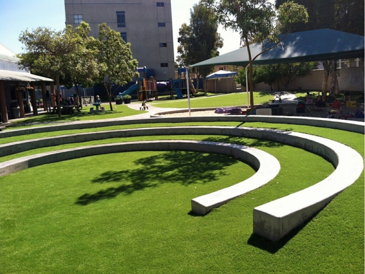 Plastic Grass Hercules, California Gardeners, Commercial Landscape