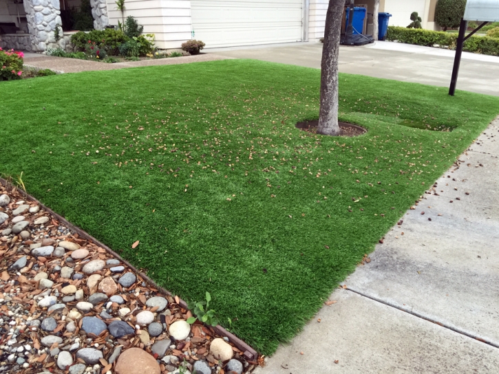 Plastic Grass Hillsborough, California Gardeners, Front Yard Landscaping