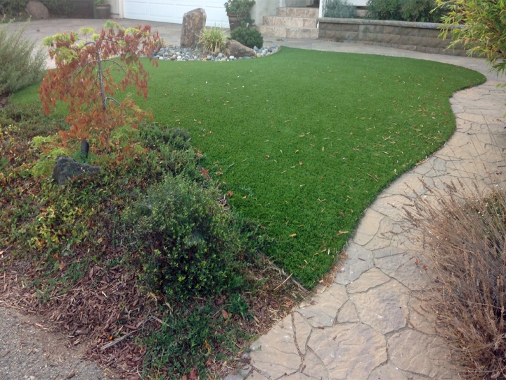 Plastic Grass La Riviera, California Cat Playground, Backyard Garden Ideas