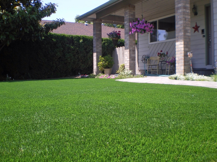 Plastic Grass Lathrop, California Paver Patio, Landscaping Ideas For Front Yard