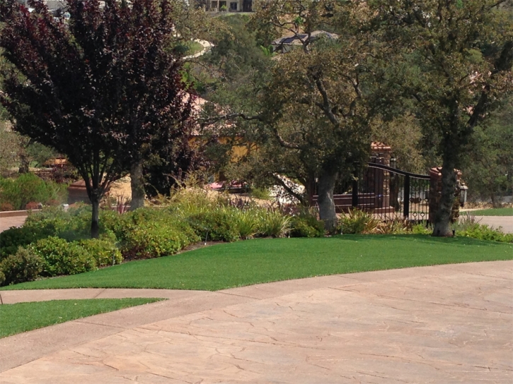 Plastic Grass Livermore, California Gardeners, Backyard Landscaping Ideas