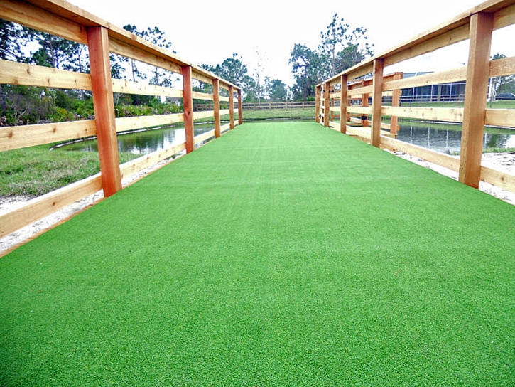 Plastic Grass Yountville, California Hotel For Dogs, Commercial Landscape