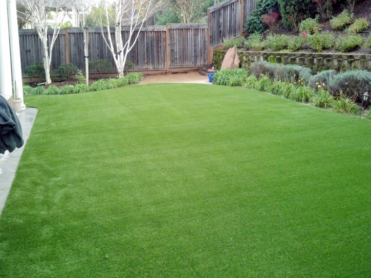 Synthetic Grass Collierville, California Roof Top, Backyard Garden Ideas