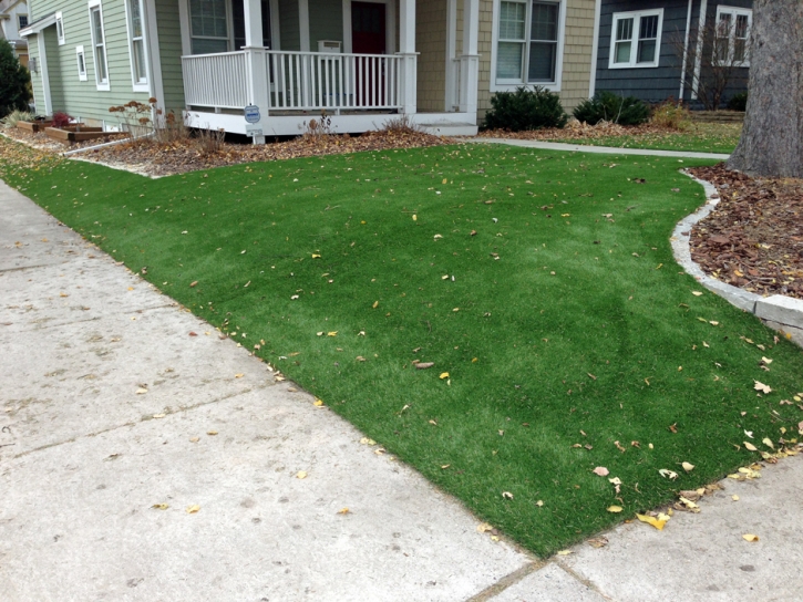 Synthetic Grass Cost Bodega, California Backyard Playground, Front Yard Landscaping Ideas