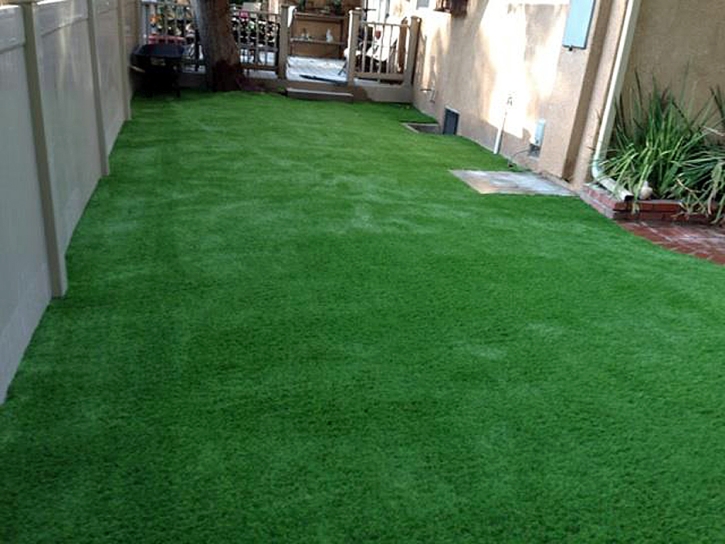 Synthetic Grass Cost Cloverdale, California Lawns, Backyard Designs